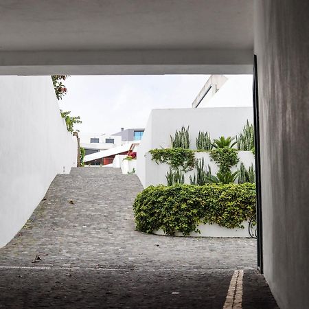 Sao Miguel Charming House By Lfc Apts Ponta Delgada - Açores Exterior foto
